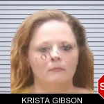 Krista Gibson mugshot