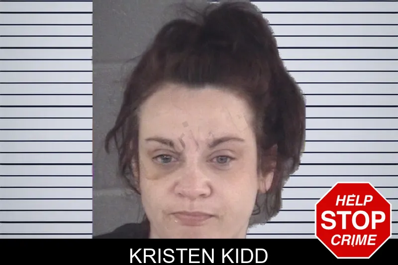 Kristen Kidd mugshot