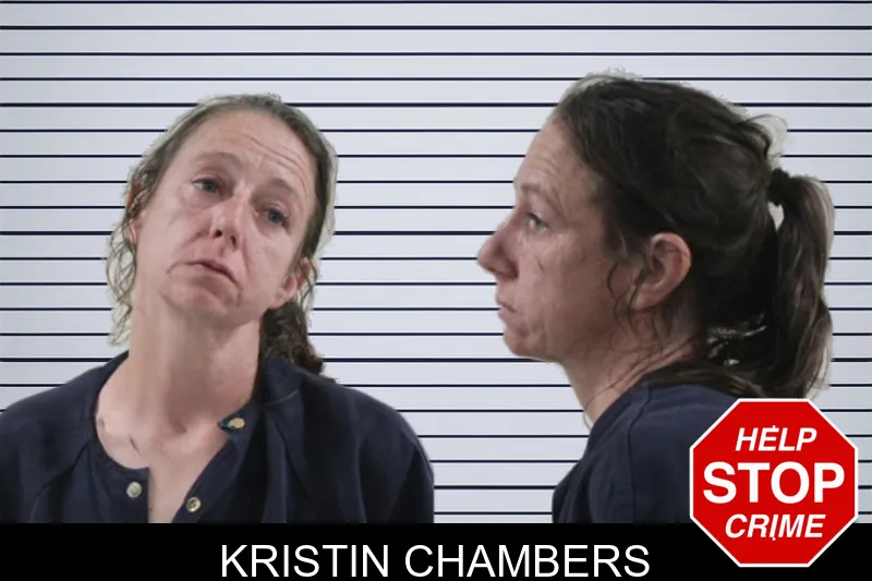 Kristin Chambers mugshot