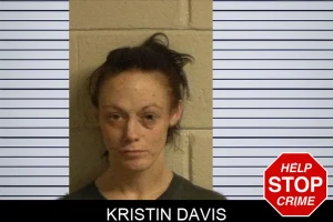 Kristin Davis mugshot