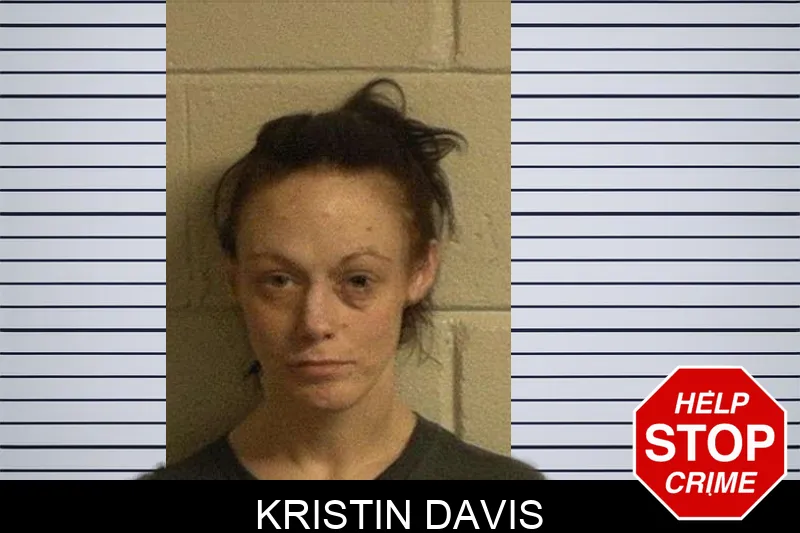 Kristin Davis mugshot – Crawford County , Georgia Kristin Davis mugshot
