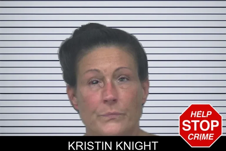 Kristin Knight mugshot – Gwinnett County , Georgia Kristin Knight