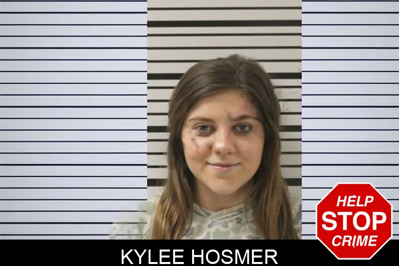 Kylee Hosmer mugshot – Toombs County , Georgia Kylee Hosmer mugshot