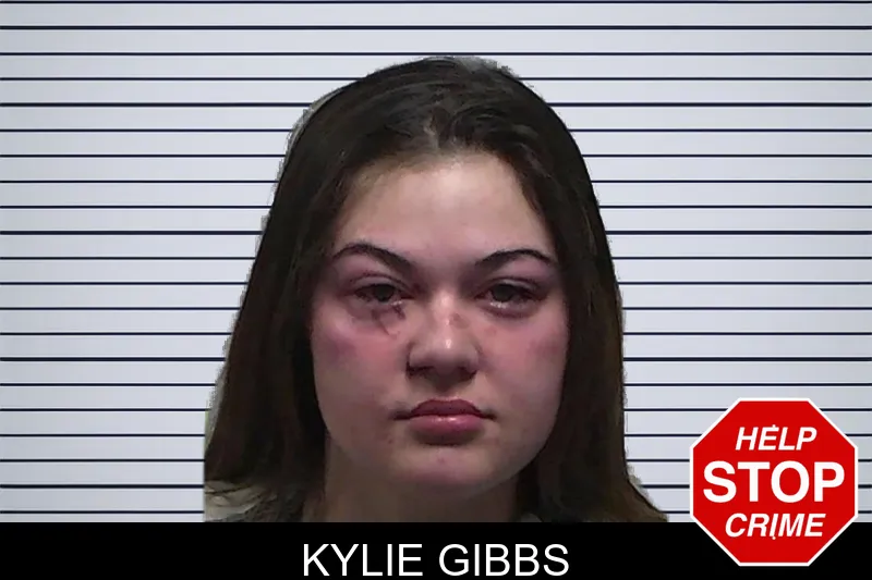 Kylie Gibbs mugshot – Tift County , Georgia Kylie Gibbs mugshot