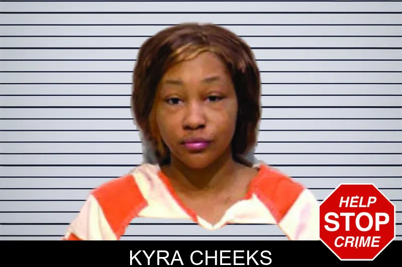 Kyra Cheeks mugshot – Bartow County , Georgia Kyra Cheeks mugshot