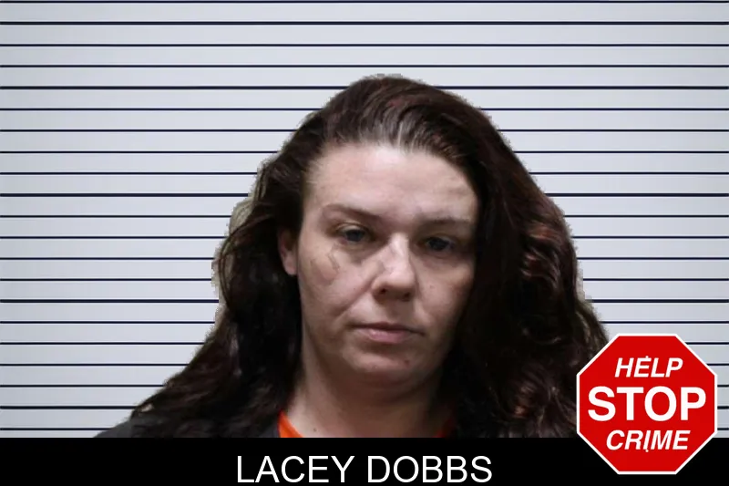 Lacey Dobbs mugshot