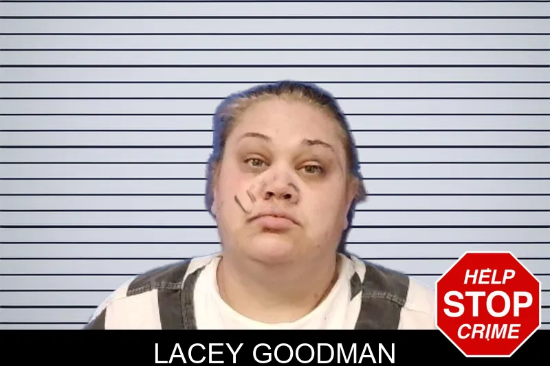Lacey Goodman mugshot