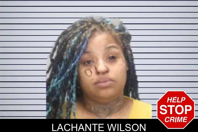 Lachante Wilson mugshot