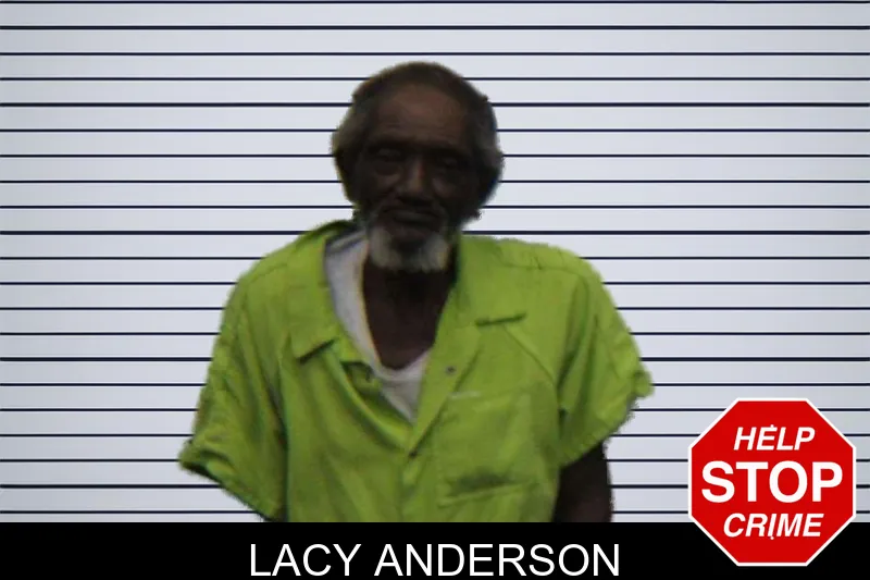 Lacy Anderson mugshot