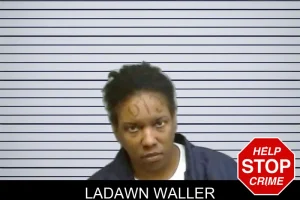 Ladawn Waller mugshot