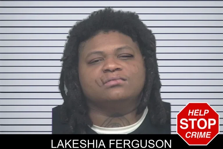 Lakeshia Ferguson mugshot – Gwinnett County , Georgia Lakeshia Ferguson
