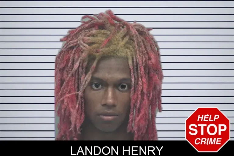 Landon Henry mugshot β Gwinnett County , Georgia Landon Henry