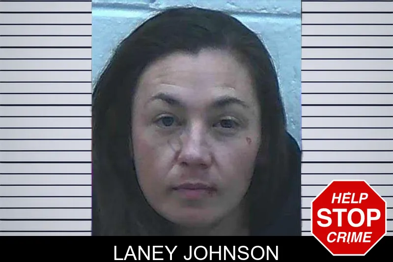 Laney Johnson mugshot