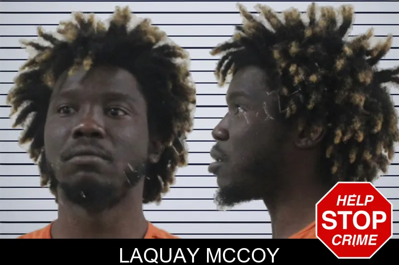 Laquay McCoy mugshot – Houston County , Georgia Laquay McCoy mugshot