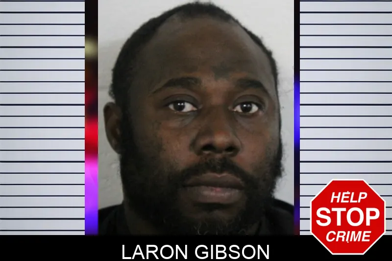 Laron Gibson mugshot