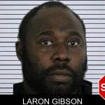 Laron Gibson mugshot