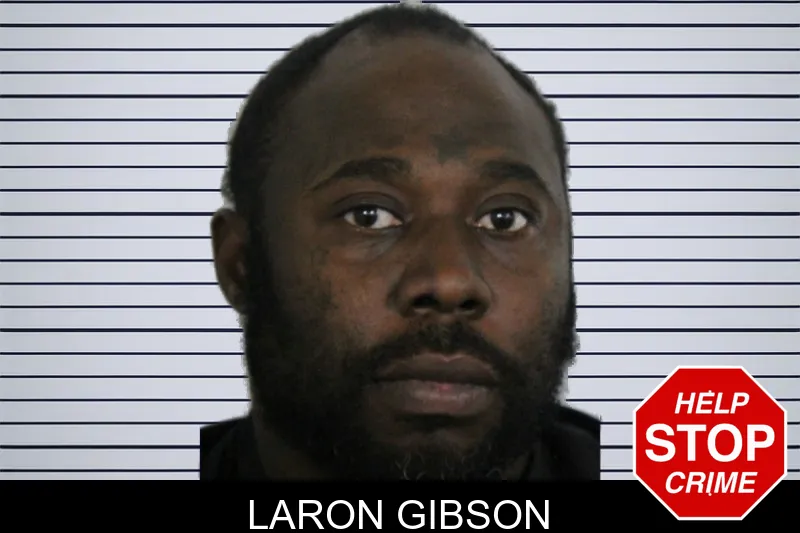 Laron Gibson mugshot