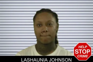 Lashaunia Johnson mugshot
