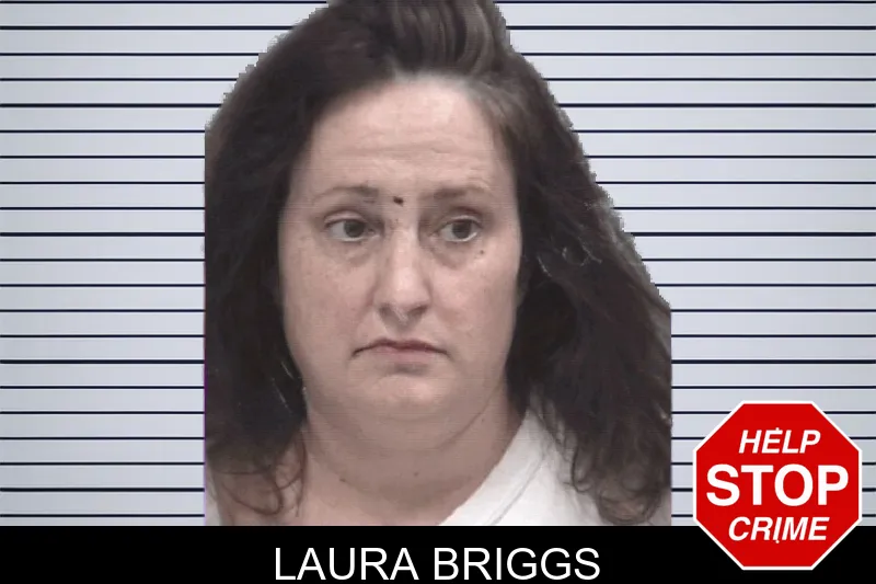 Laura Briggs mugshot