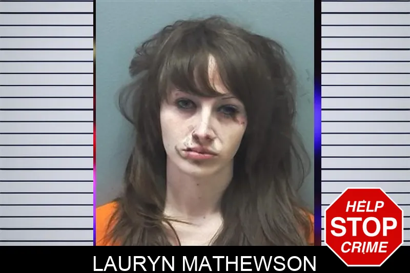 Lauryn Mathewson mugshot – Cherokee County , Georgia Lauryn Mathewson mugshot