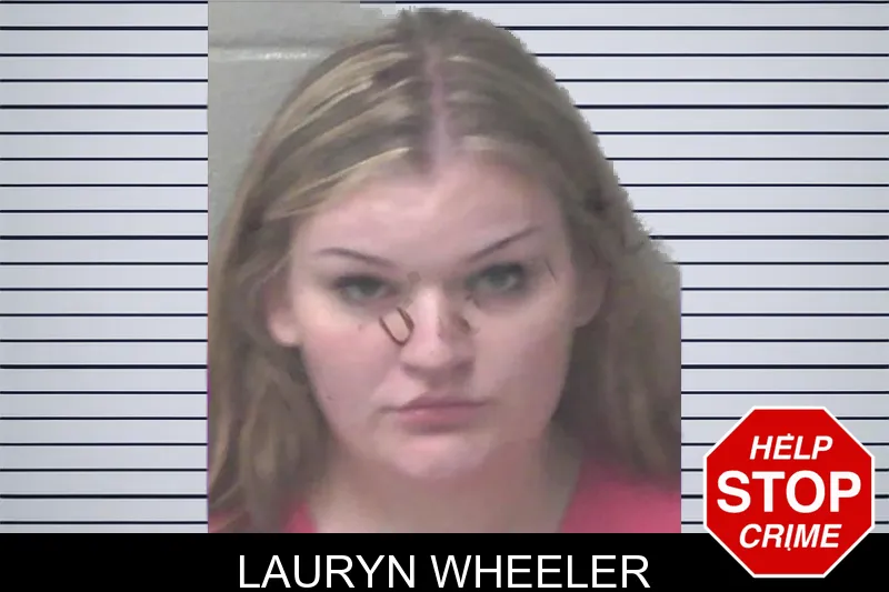 Lauryn Wheeler mugshot – Newton County , Georgia Lauryn Wheeler mugshot