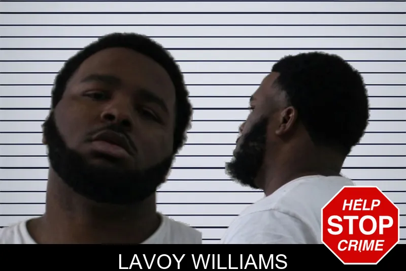 Lavoy Williams mugshot