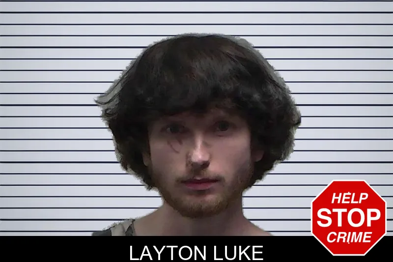 Layton Luke mugshot