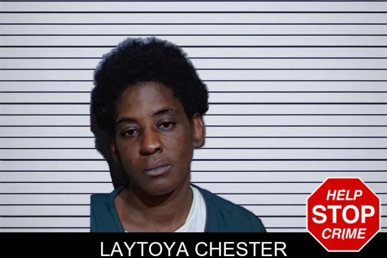 Laytoya Chester mugshot – Glynn County , Georgia Laytoya Chester
