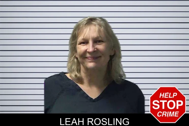 Leah Rosling mugshot – Gilmer County , Georgia Leah Rosling