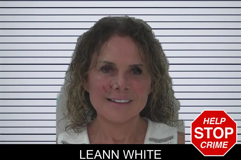 Leann White mugshot – Fayette County , Georgia Leann White mugshot