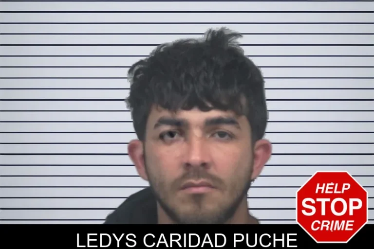 Ledys Caridad Puche