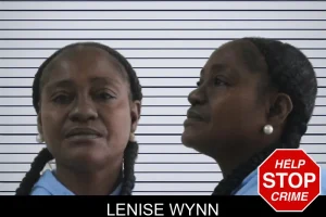 Lenise Wynn mugshot