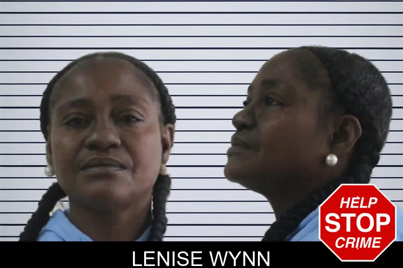 Lenise Wynn mugshot