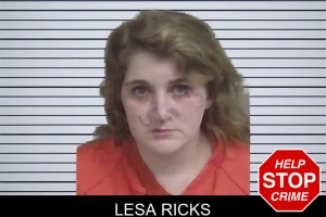 Lesa Ricks mugshot