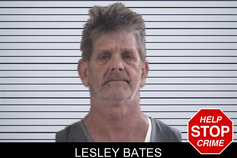 Lesley Bates mugshot