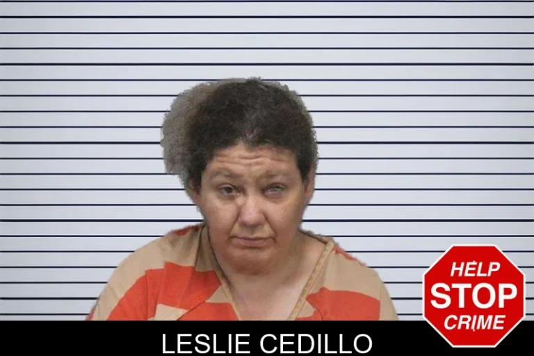 Leslie Cedillo mugshot – White County , Georgia Leslie Cedillo