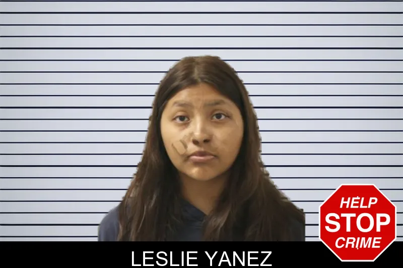 Leslie Yanez mugshot