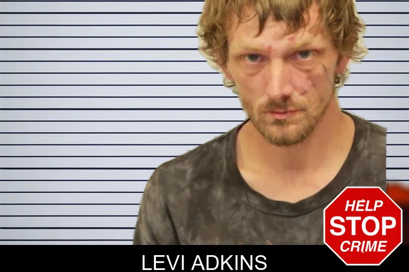 Levi Adkins mugshot