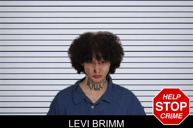 Levi Brimm mugshot