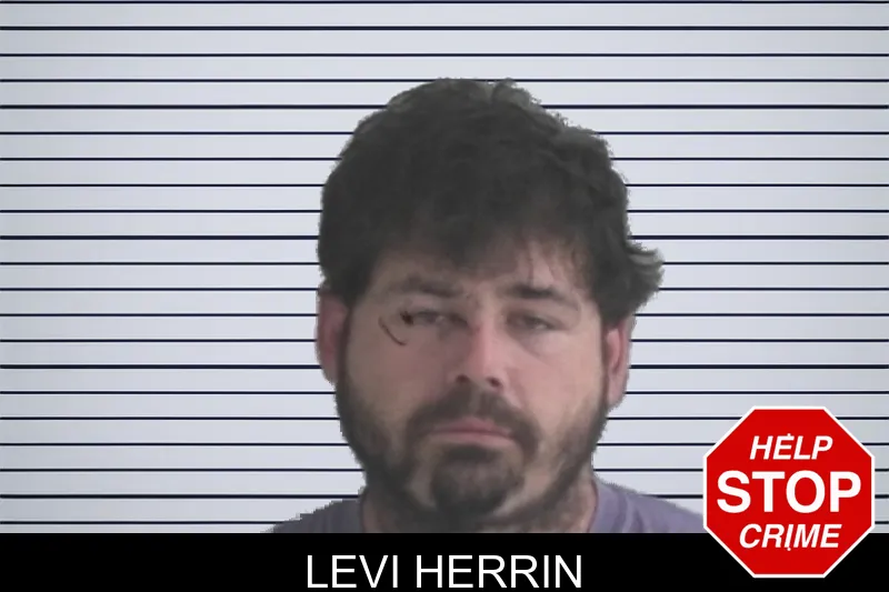 Levi Herrin mugshot