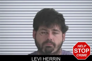Levi Herrin mugshot