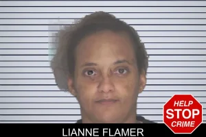 Lianne Flamer mugshot
