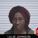 Lillie Johnson mugshot