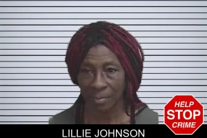 Lillie Johnson mugshot