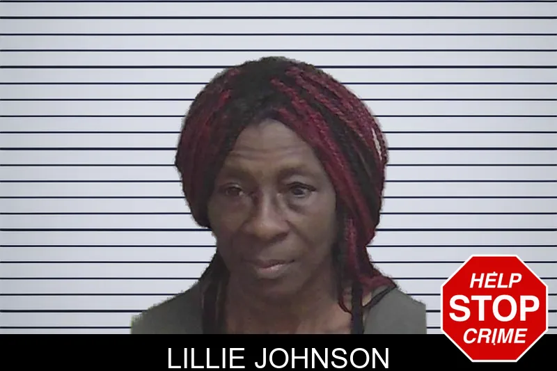 Lillie Johnson mugshot