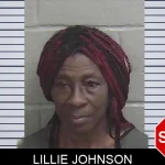 Lillie Johnson mugshot