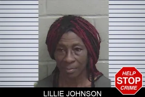 Lillie Johnson mugshot