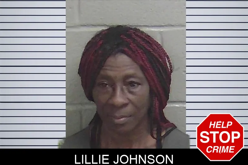 Lillie Johnson mugshot