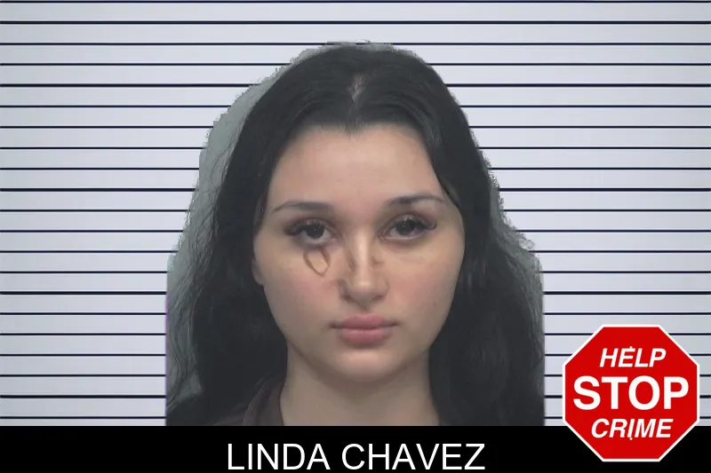 Linda Chavez mugshot