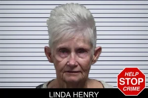 Linda Henry mugshot